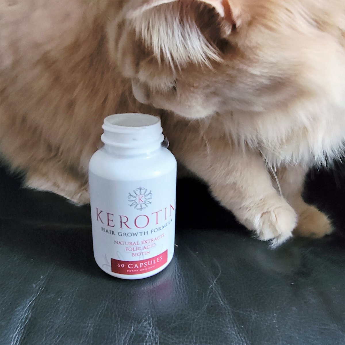 LilyMcAllisterr's tweet photo. Butter Ball checking out the #kerotin Hair Growth Formula Capsules.
LINK TO PRODUCT: https://t.co/2PMtyPCFFI
USE CODE AGGIELILY for 15% OFF SITE WIDE!
#haircare #selfcare #picoftheday #CatsOfTwitter #Fluffy https://t.co/iwAyCN4f0p
