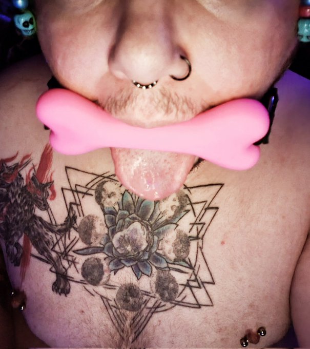 Dumb puppy time 🐾💚 https://t.co/nfGEQMJK8R<a href="/tag/tummytuesday"class="tags"><span>#tummytuesday</span></a>