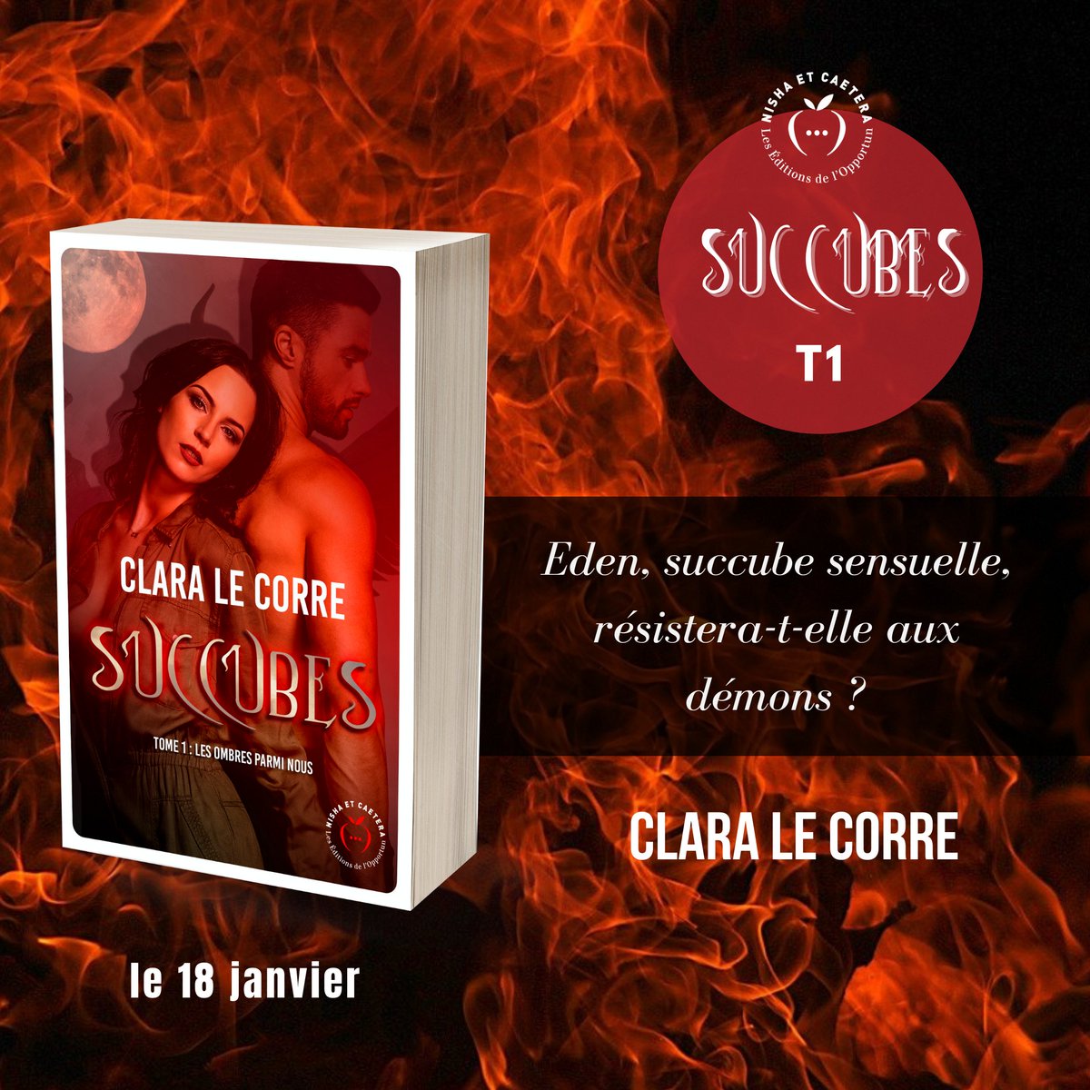 NishaEtcaetera's tweet photo. NOUVEAUTÉ 😍 Découvre sans plus tarder le résumé de la série #Succubes de Clara Le Corre. Le tome 1 paraitra le 18 janvier, le tome 2 le 22 mars 👉🏼https://t.co/tOKKqvjrdv #romancebitlit #vendredilecteure https://t.co/Y2mi81CWRA