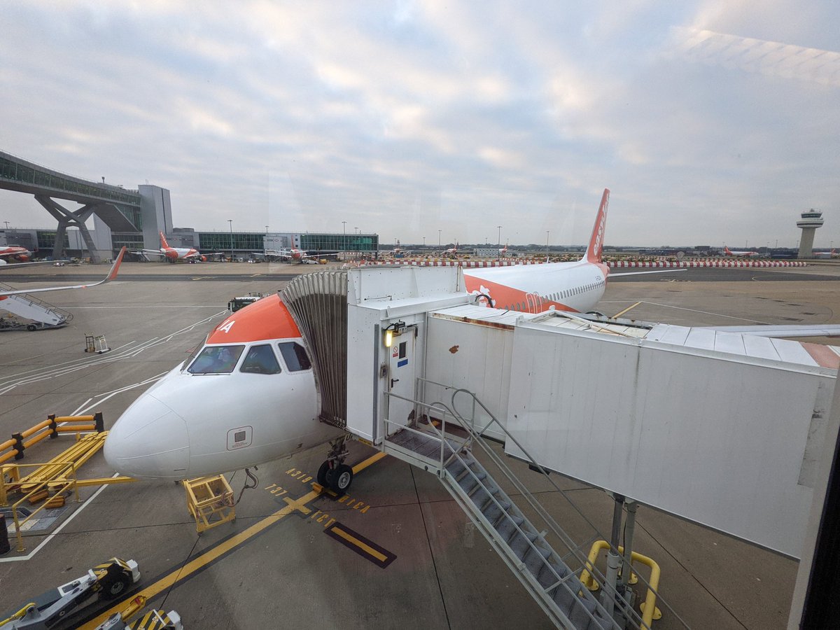 Emily Hornett ✈️ 🏳️‍⚧️ tweet media