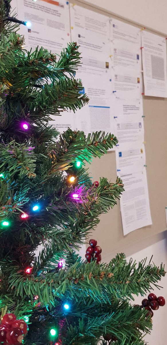 Rhizo-Eco Lab tweet media