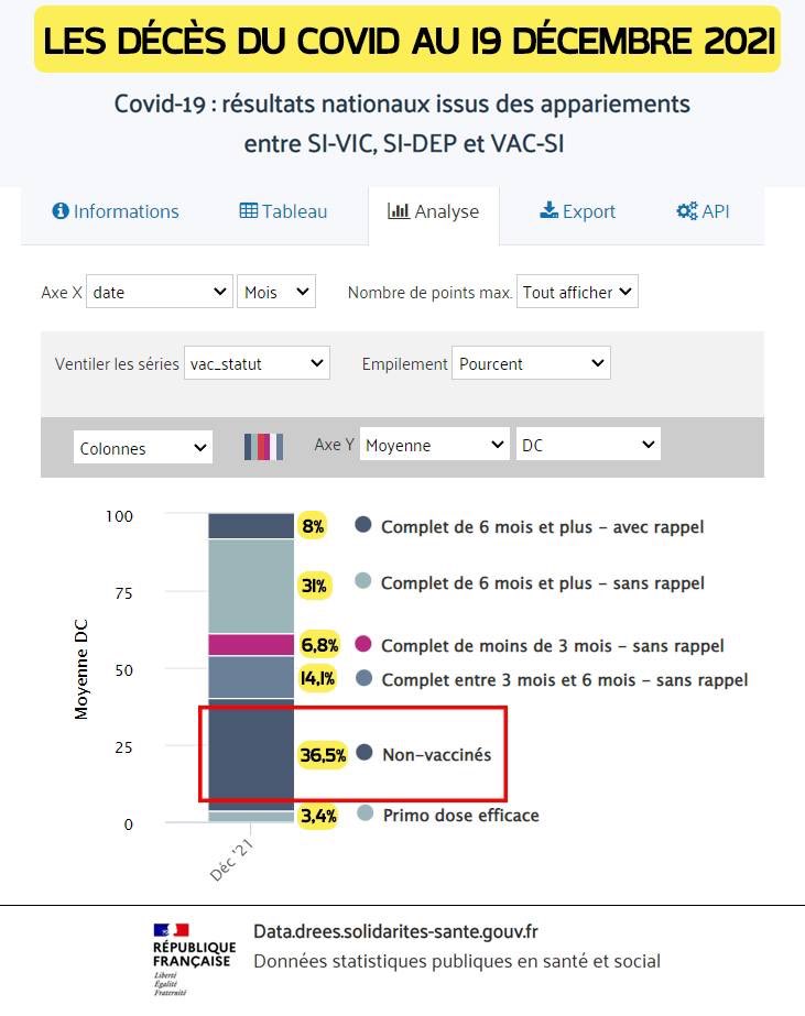 Emma Cataneo tweet media