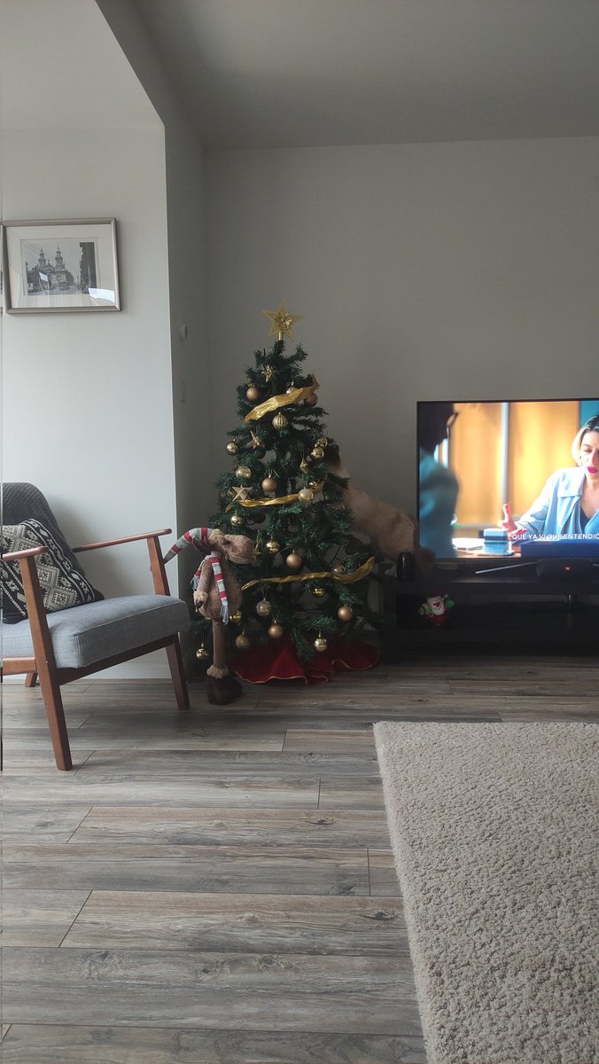 aevasquezg's tweet photo. #meganoticiasamanece Buenos días desde Inglaterra, todos los días me hacen compañía y me río mucho. feliz navidad para todos. Especialmente para mi familia. https://t.co/0bv5a88Ipo