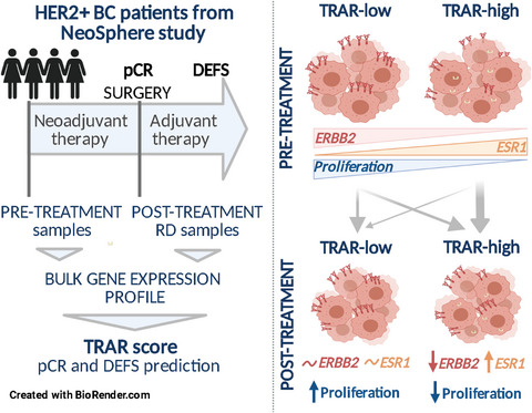 📢Hot off the press!

The TRAR gene classifier to predict response to neoadjuvant therapy in HER2+ and ER+ breast cancer patients: an explorative analysis from the NeoSphere trial

🔗buff.ly/3e5YHfq

@TizianaTriulzi @SanRaffaeleMI

#HER2 #BreastCancer #EstrogenReceptor