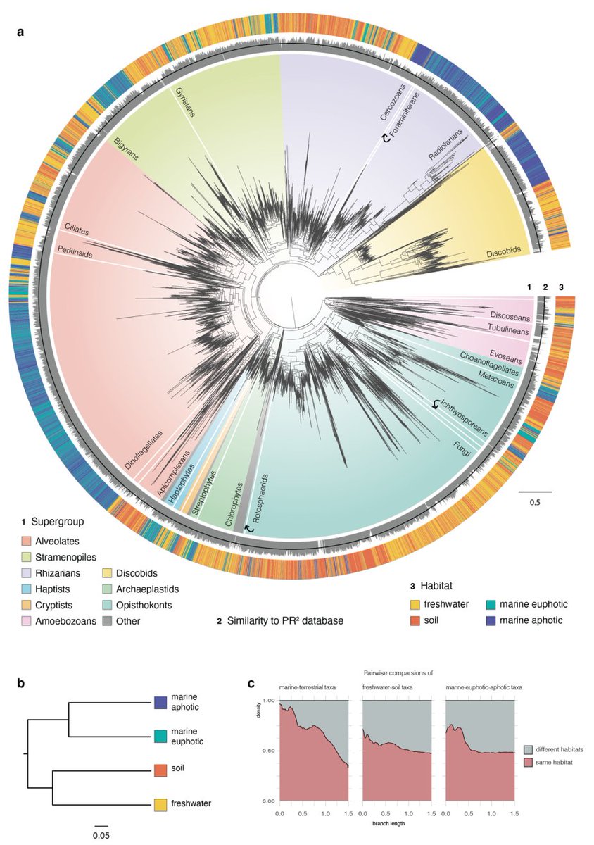 MPCMevol's tweet image. After 10 tweets in this year, we are close to the end of 2021.

We wish you Happy Holidays and a Phylogeny-rich New Year!

Figure: Jamy et al. Global patterns and rates of habitat transitions across the eukaryotic tree of life, Nature Ecol. Evol. preprint