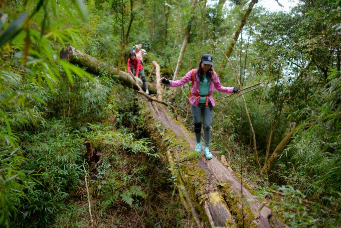 cionmivaandinh tweet media