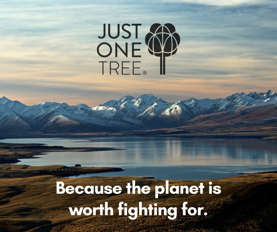 We’re delighted to announce we have joined <a href="/JUST_ONE_Tree/">JUST ONE Tree</a>  

Climate change affects us all. Trees are an effective way to remove carbon dioxide from the atmosphere. JUST ONE Tree makes it easy for us all to do exactly that.

Together we can fight change: justonetree.life
