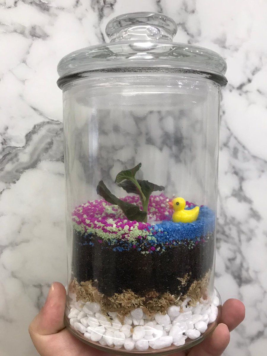 racheltanpl's tweet photo. Thank you #SGEngineeringteam for inviting me to your Year End Party! Conclusion: I do not have much creative juices and hoping my plant will survive.
#virtualterrariumworkshop #firsttimer https://t.co/OC9dfX8BFy