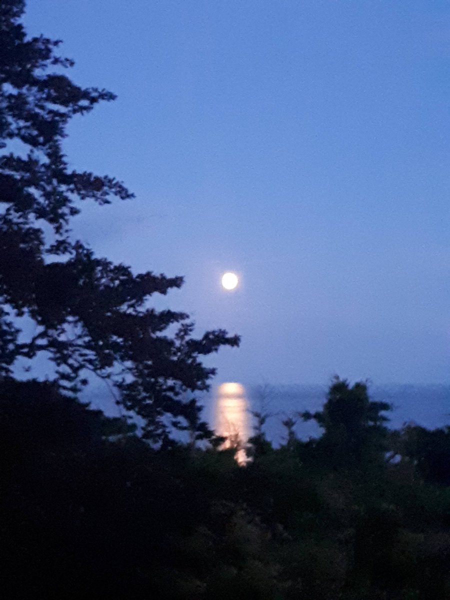 Time for my annual shout out to local authority children's and adults Emergency Duty Teams who are helping people every night, every holiday, every weekend. One of the most creative, problem-solving teams you'll ever meet. EDTs, we see you and we thank you 🙏