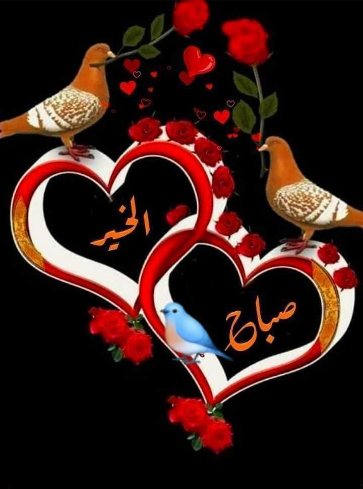JumoKhan6's tweet photo. https://t.co/Xn1Bs4dtiI