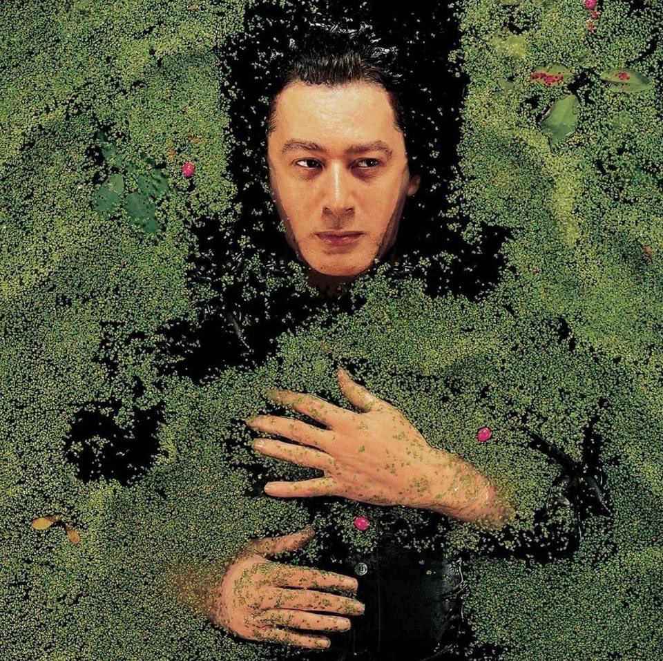 ViktorVincentOF's tweet photo. “Fantaisie militaire” d’Alain Bashung, je ne m’en lasserai jamais. https://t.co/xDNBj2l6rW