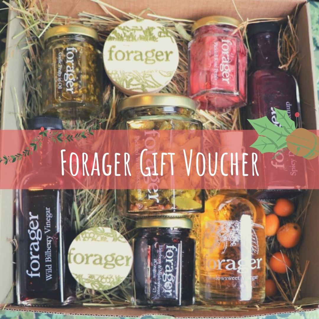 Today was the last day we could guarantee Xmas delivery. But that doesn't mean you can't still offer something wild this Christmas. We send out Gift Vouchers via email the very same day! From £15 these are lovely little stocking fillers! #wildgifts
forager.subbly.me/shop-1/forager…