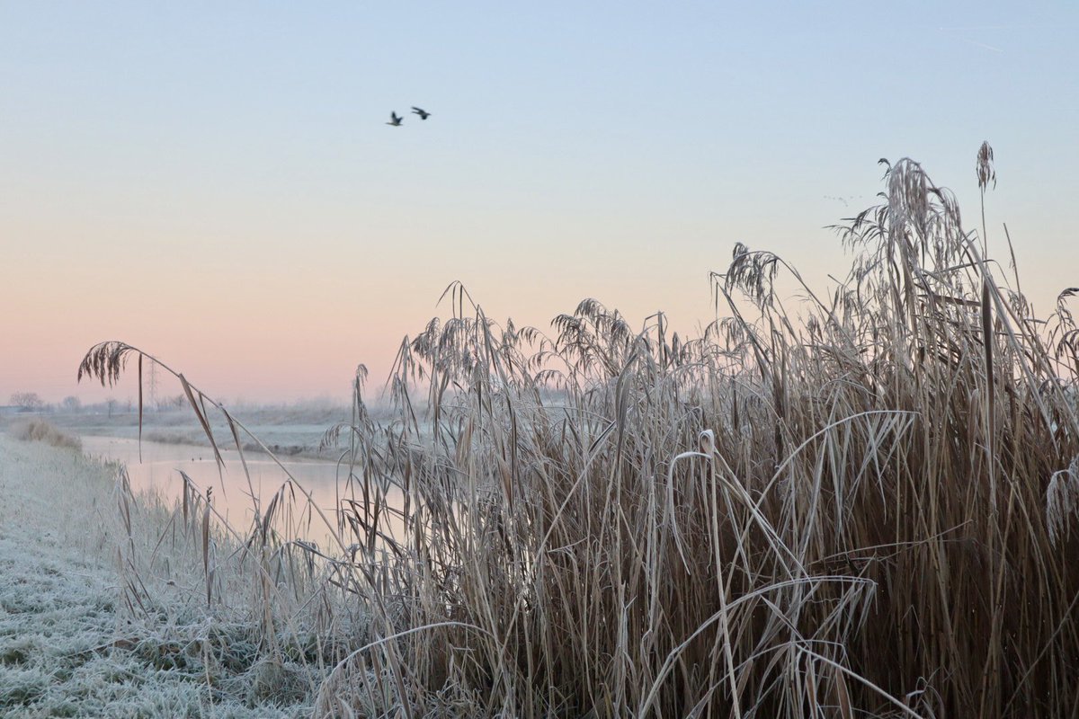 Prachtige ochtendwandeling <a href="/parklingezegen/">Park Lingezegen</a> #winter #winterweer #koud #zonsopkomst #dauw #vorst