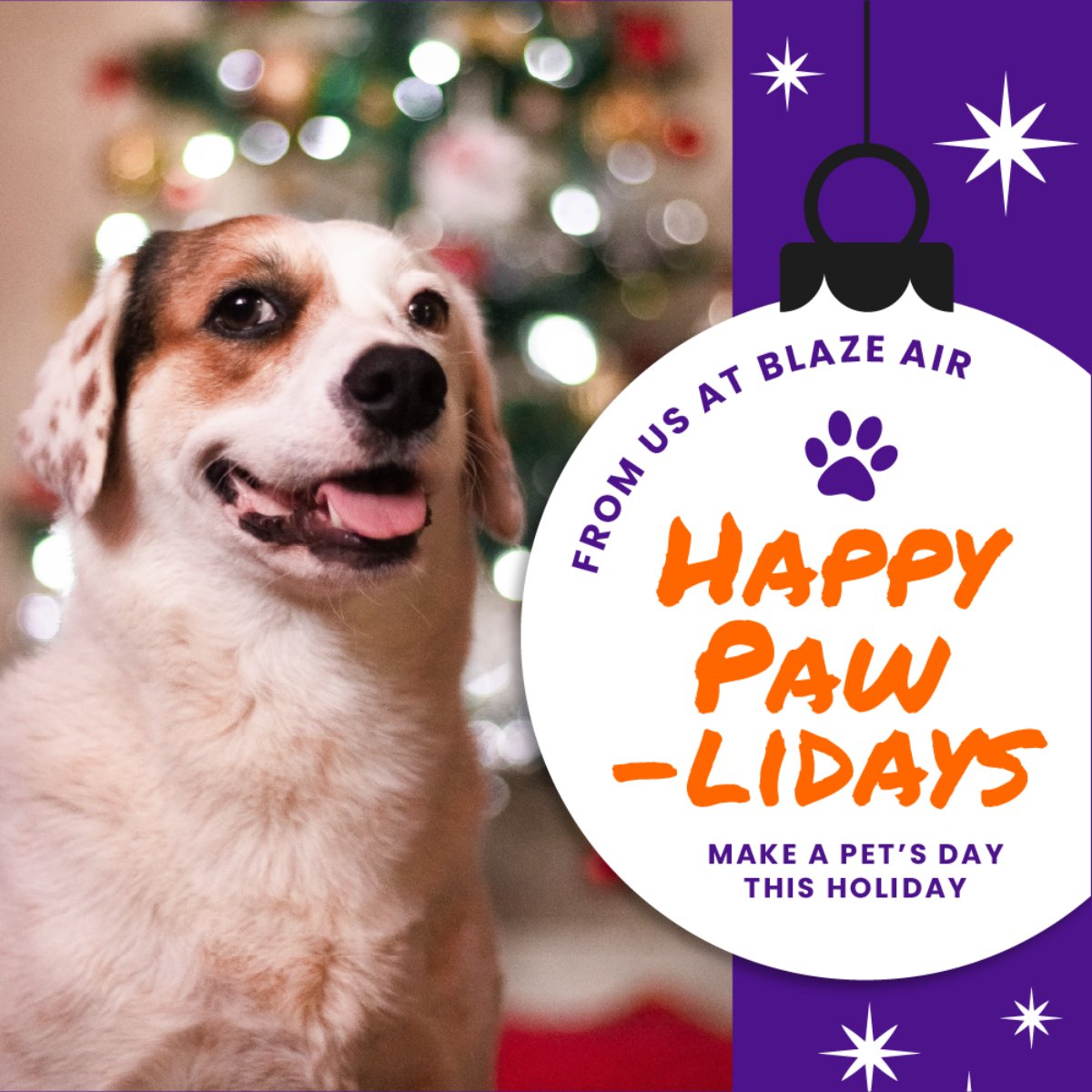 Happiest paw-liday to you and your furry friends! Be sure to do something special for your pet this weekend, or consider adoption from a local rescue group or your local Humane Society -- we promise it'll be the best Christmas ever!