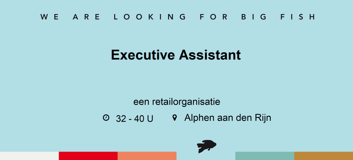ProAssistanceNL's tweet image. Executive Assistant | een retailorganisatie | 32 - 40 uur | Alphen aan den Rijn | bit.ly/3Jcf60m

Ben jij goed in het leggen van verbanden? Houd je van verandering en het bedenken van oplossingen? Lever je graag een bijdrage aan productiviteit en innovatie?