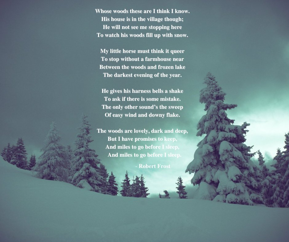scstatelibrary's tweet photo. It's #TheFirstDayOfWinter. Happy #WinterSolstice. https://t.co/addJFlWdzd