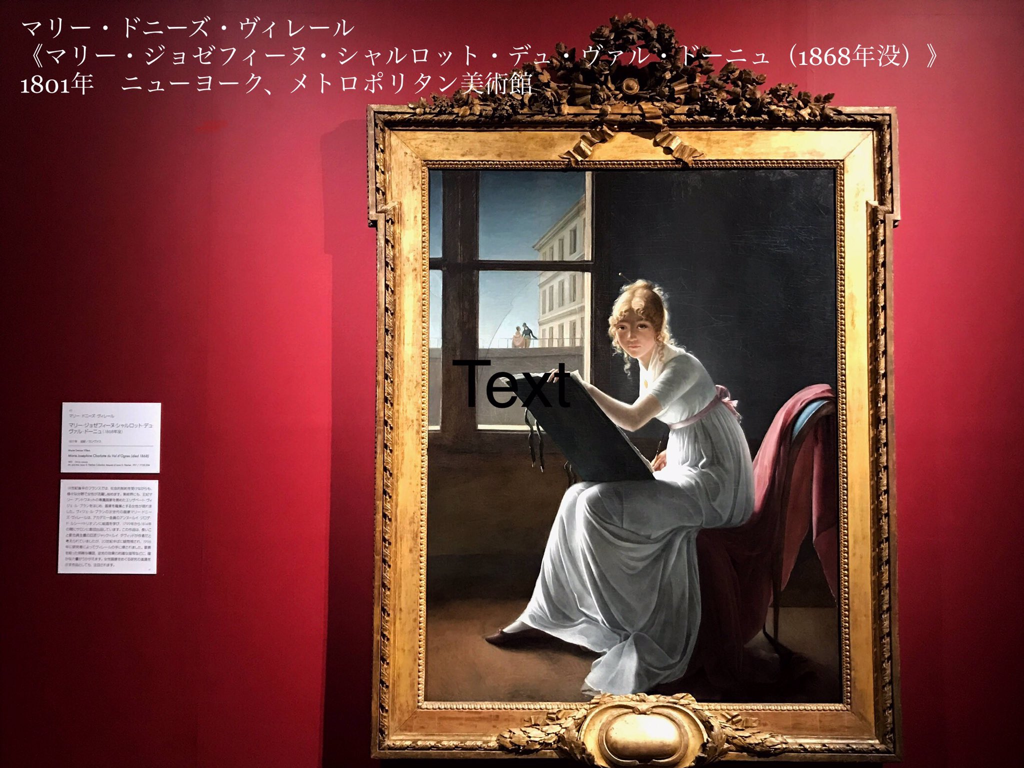 ルーヴル美術館 女性像 1802年 油彩画　マリー　ドニーズ　ヴィレール　複製画 マリー＝ドニーズ・ヴィレール - Wikipedia