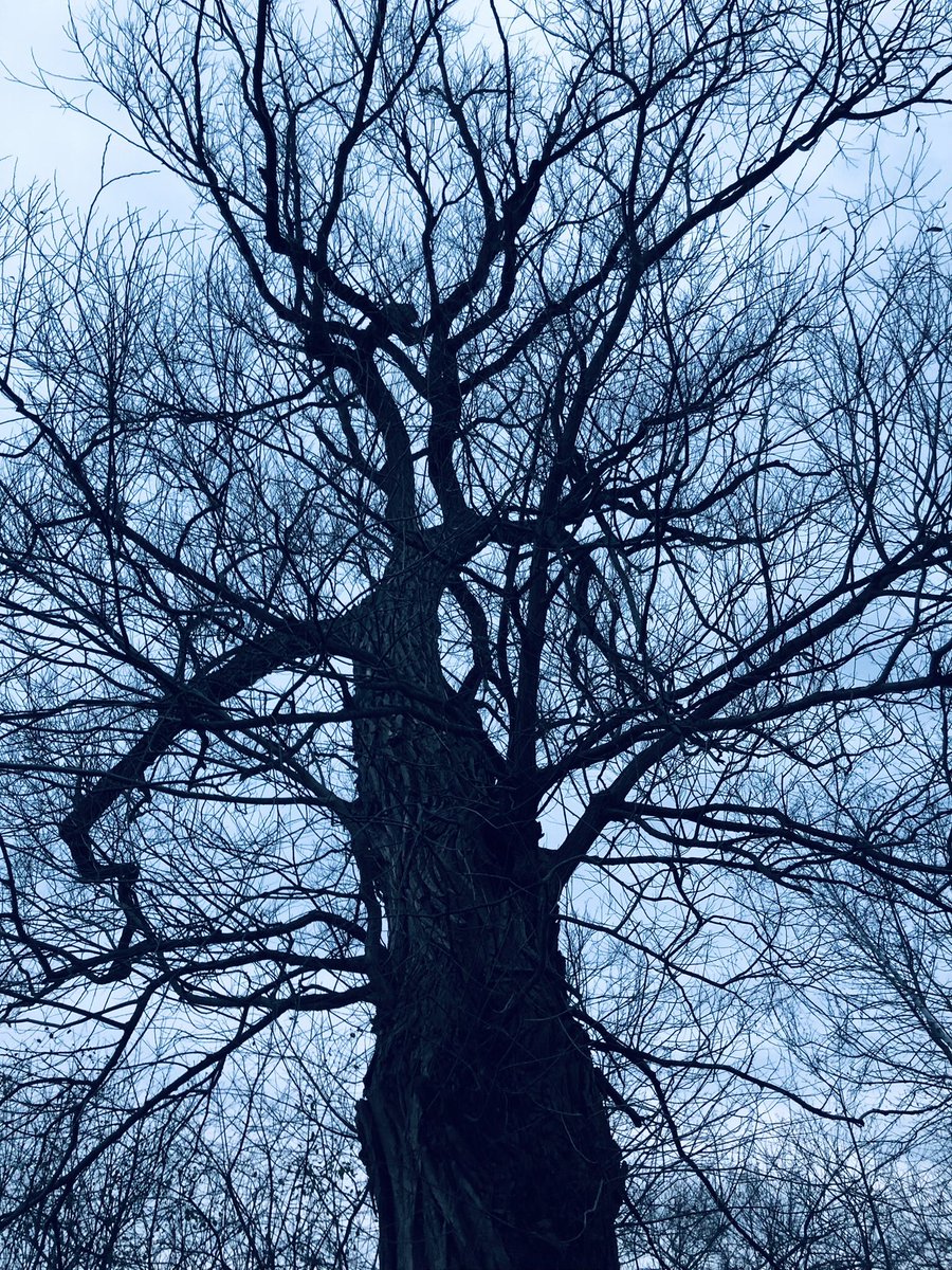 rjdurocher's tweet photo. Wishing you Winter Solstice well-wishes. It’s the shortest day and longest night - a great time to share stories and rest. And remember - the light always returns ❤️❤️❄️❄️ https://t.co/5w6Q85kYnE
