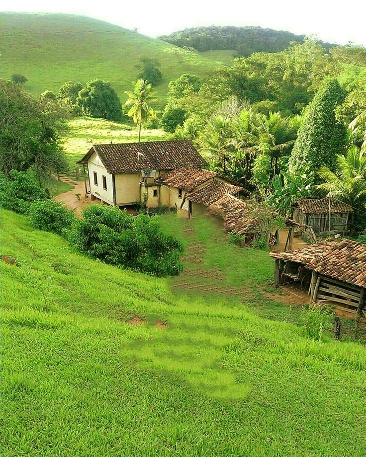 Good Day 💚💚🤍🤍