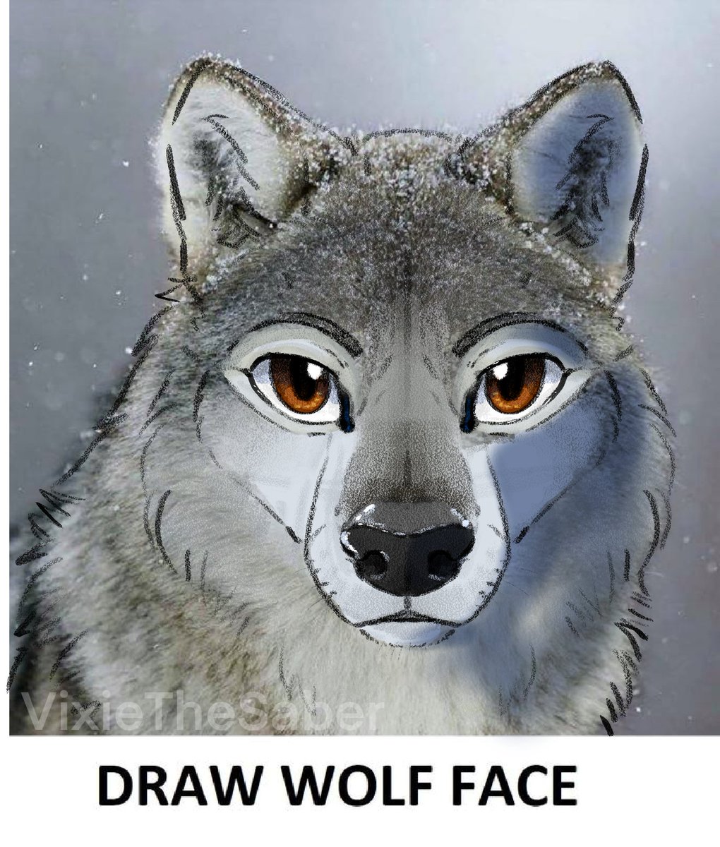 vixie_the's tweet photo. #drawwolfface ๐บ https://t.co/X862IQDAad