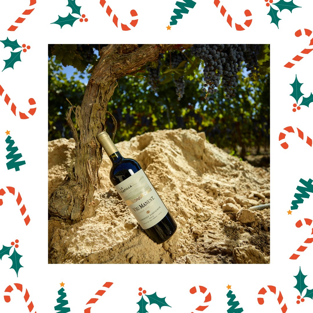 LouisLatourUK's tweet photo. Under the tree today we have @viumanentwinery 's Gran Reserva Chardonnay and Single Vineyard Cabernet Sauvignon. The Single Vineyard Cabernet Sauvignon is excellent on it's own, but with steak, may be perfect. π·
#lladrinks #12daysofchristmas #viumanentwinery #viumanent #chile https://t.co/vj1M4rhLRu