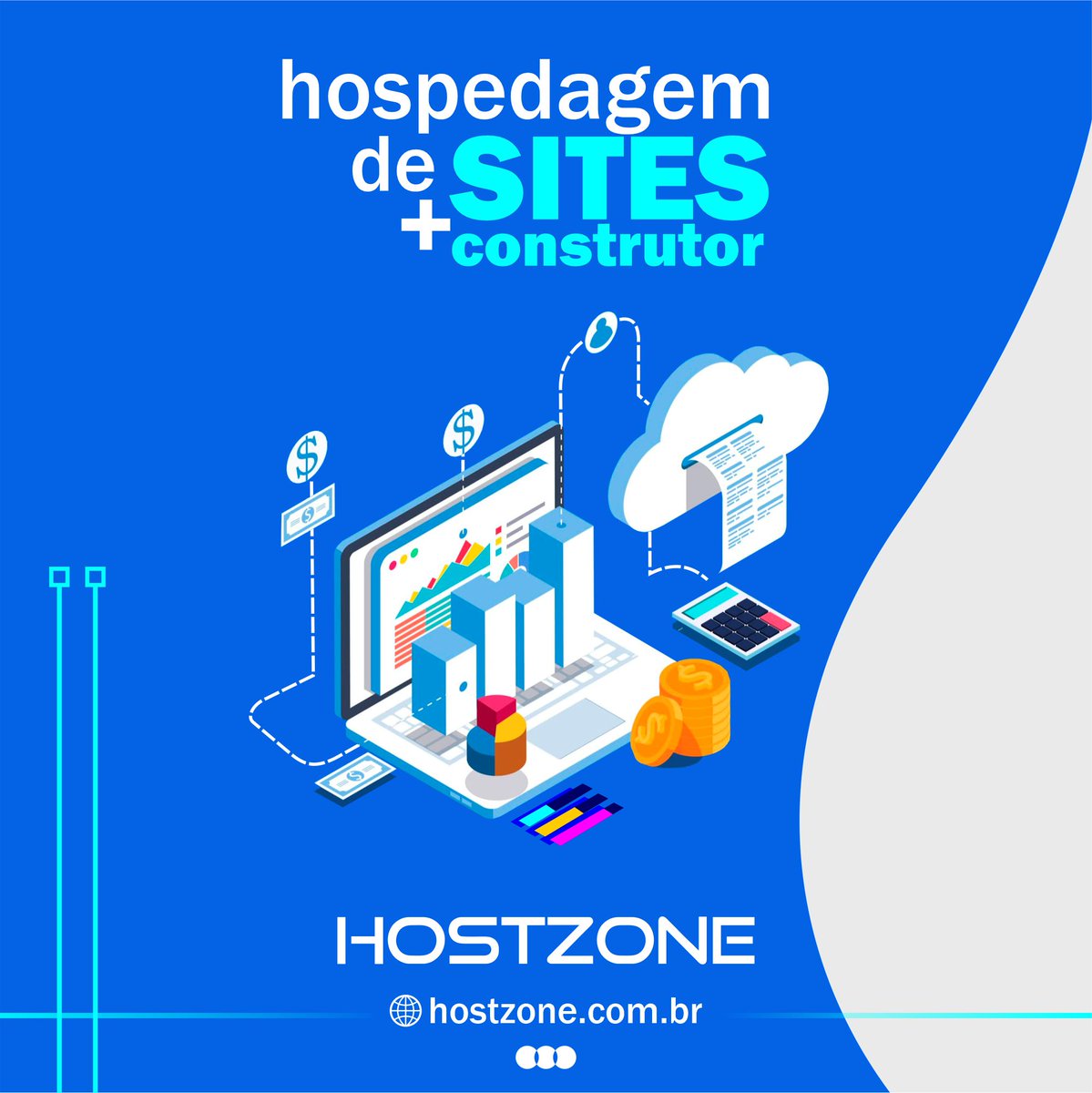 hostzone tweet picture