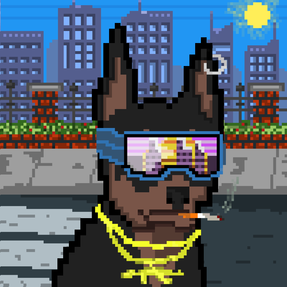 SolDober's tweet photo. OG Dober🚬

#NFT #NFTs #NFTGiveaway #SolanaNFT #Solanart #Solana #FreeNFT #NFTcollection #NFTinvestor #twitter #nftart https://t.co/NdLJW8xbuV