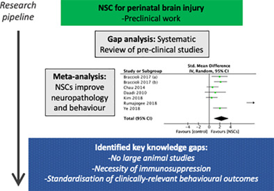 StemCellsTM's tweet photo. CONCISE REVIEW
Neural stem cell treatment for perinatal brain injury: A systematic review and meta‐analysis of preclinical studies

#AnimalModels #CellTransplantation #Immunosuppression #NeuralDifferentiation #StemCells #TissueSpecificStemCells https://t.co/BlhwgFYTSb https://t.co/Cus5BdmxpA