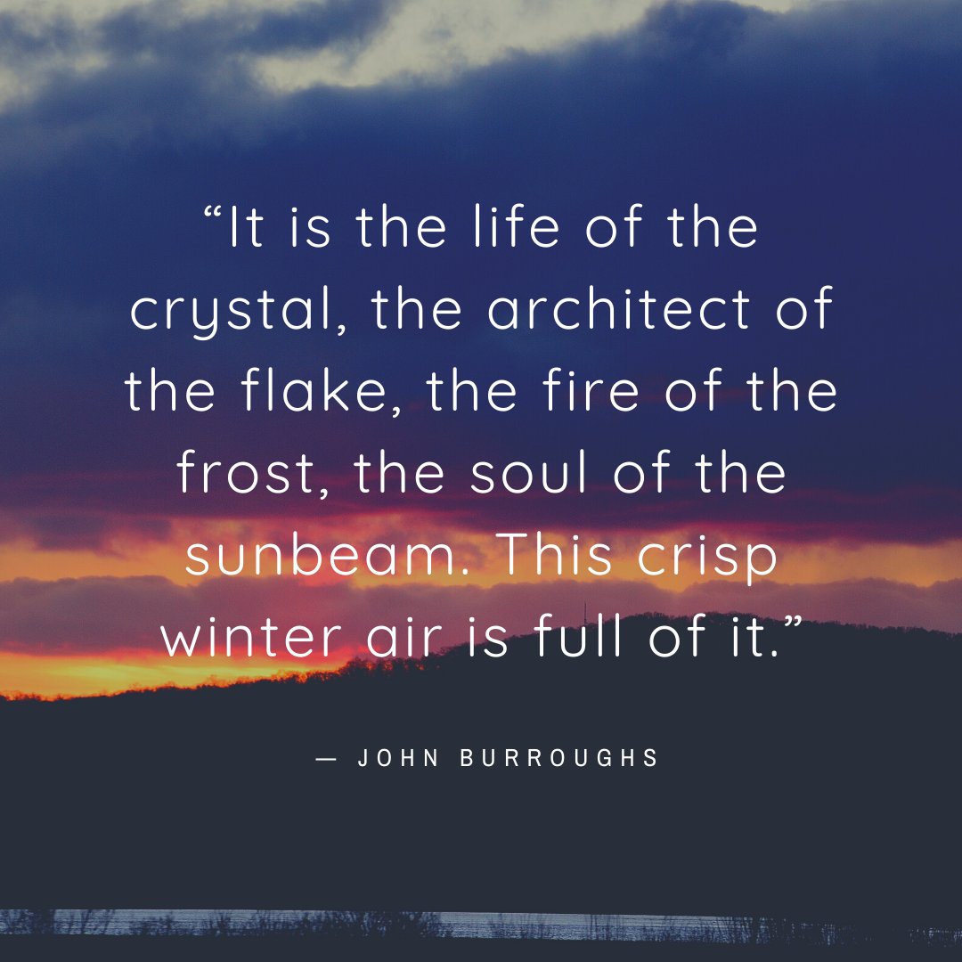 LogicLymph's tweet image. Wishing you a warm winter solstice!

#wintersolstice #winter #fire #frost #crystals #positive #sunbeam #beautiful #seasons