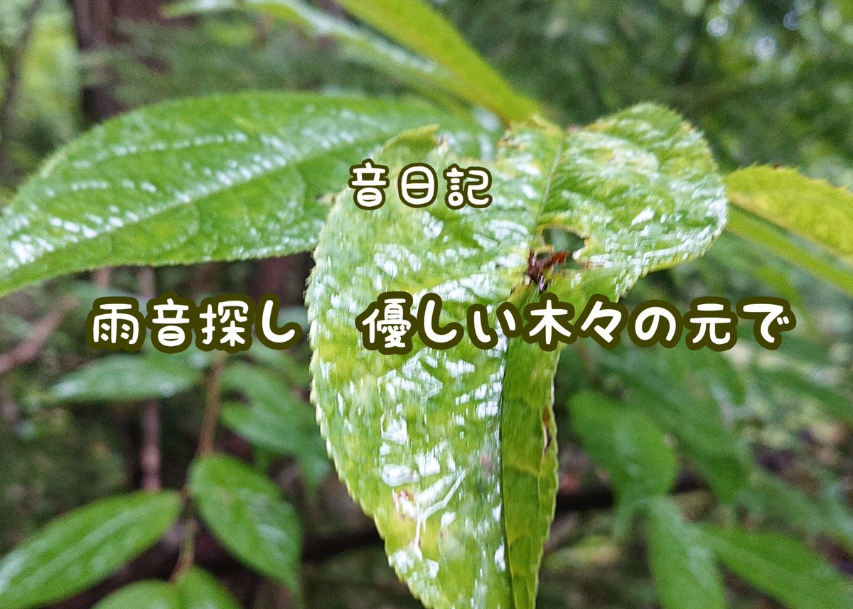 nokishita_cat's tweet photo. YouTubeへ公開となりました
是非ご覧ください🎥

https://t.co/tCzMIdOBrv

#自然音 #naturalsound #阿賀町 #environmentalsound #雨音 #雨 https://t.co/Lh3K7mvCGD
