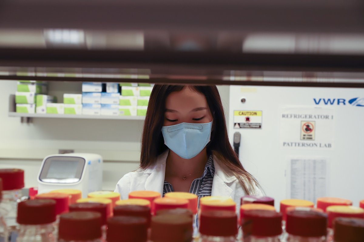 BMB_PSU's tweet photo. Check out this week's #UndergradsintheLab, Sharon Wu, a Junior from the @PSUmetabolomics Lab.
She recently joined the Patterson lab and is currently assisting Dr. Shigetoshi Yokoyama in his novel research on AhR protein. @PSUScience @PSU_urfm https://t.co/L7dxXTFDuo