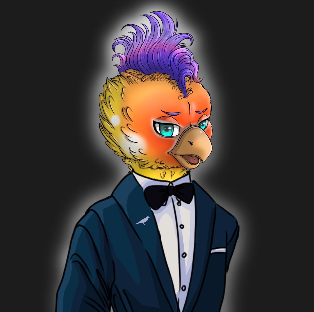 Parry 🦜 tweet media