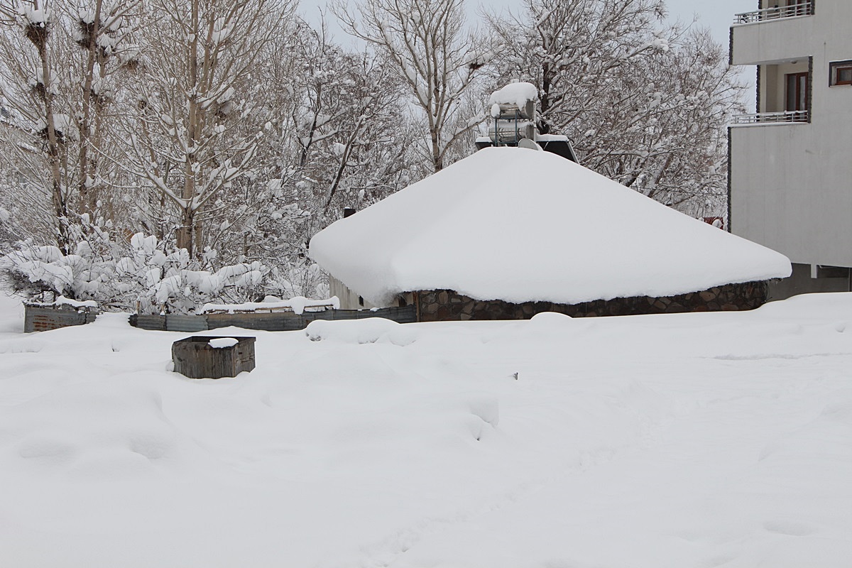 Karlıova'da evler kara gömüldü
dha.com.tr/r/1867848