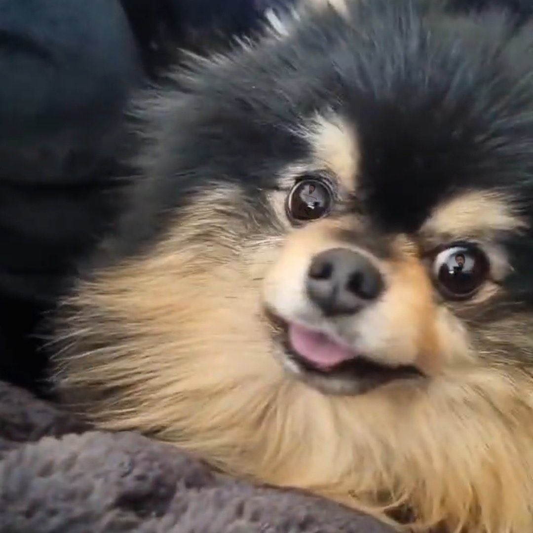 JENNY_V7's tweet photo. sapere che yeontan quest’anno ha subito ben due interventi chirurgici e che sono falliti entrambi mi ha distrutto 
con taehyung che dice“Spero che possiamo creare ricordi divertenti insieme per il resto delle nostre vite,voglio vederti crescere” vi giuro mi piange il cuore https://t.co/PhP8CvUvm6