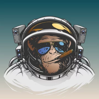 CCosmicape's tweet photo. @Cryptogemsguru LFG! We just started! #SorryElon https://t.co/IcBiS6AWeA