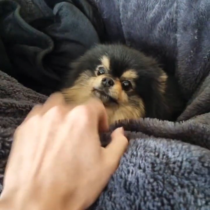 7billion_lights's tweet photo. #YEONTAN Get well soon baby
We army loves u a lot stay strong stay healthy :) https://t.co/NqaIhnX2bL