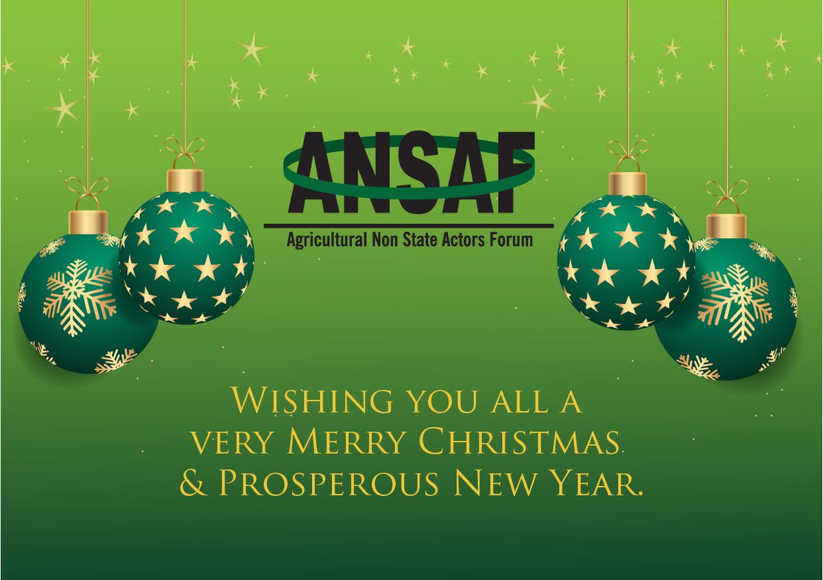 ANSAFForum's tweet photo. #ansafforum #HappyHolidays #HappyNewYear https://t.co/vVgFoO2O8O