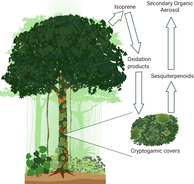 Communications Earth & Environment tweet media