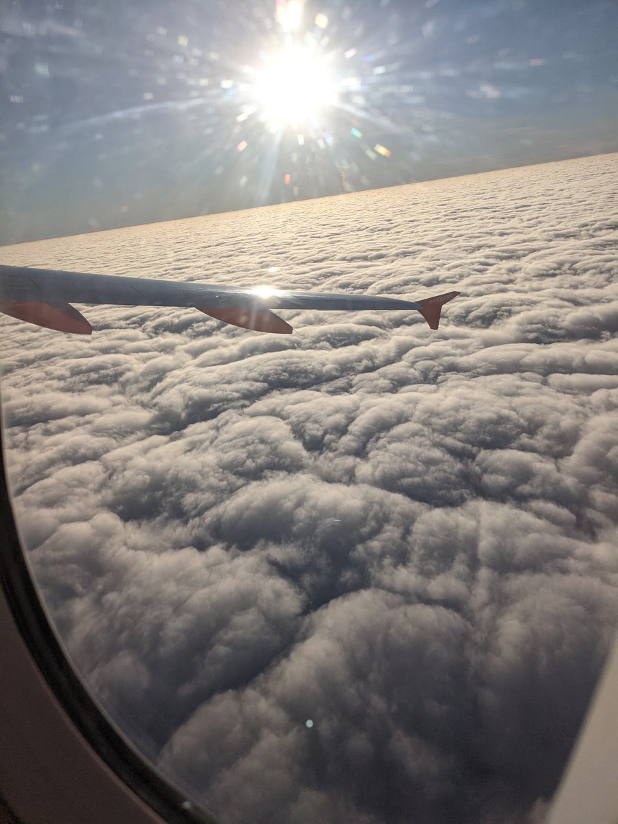 Emily Hornett ✈️ 🏳️‍⚧️ tweet media