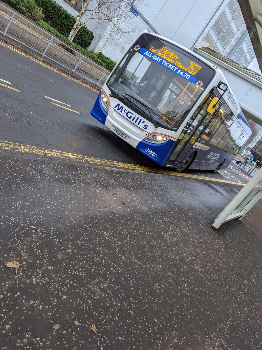 Emily Hornett ✈️ 🏳️‍⚧️ tweet media