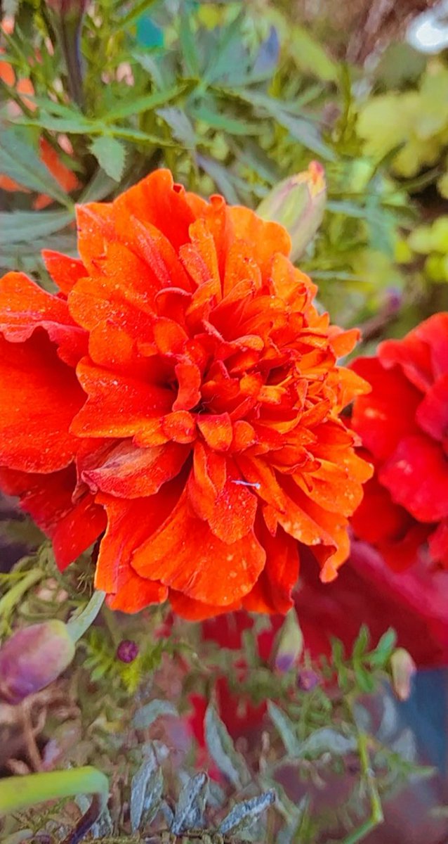 wtf_yuvi's tweet photo. This is beautifull.. right...?

Winters pros💜🥂 https://t.co/6SbG8jiylB