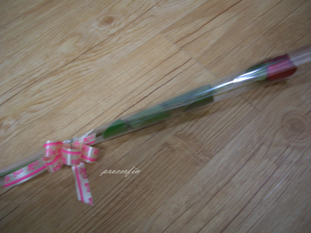 Procerfin's tweet photo. 규 뮤지컬 데뷔 11주년!!
생각난김에 첫공 기록해놨던 블로그 찾아보니 삼총사 낚시석에서 장미 따왔던 사진이 남아있었다 :) 
그때부터 쭉 잡힌 물고기(?)가 되어 여전히 열심히 보러다니는 중..♥
오래오래 더 다양하게 만나길 https://t.co/Se6jCYxGTf