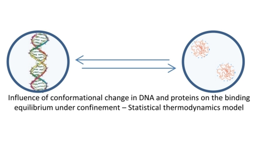 ChemPhysChem's tweet photo. Biomolecular Binding under Confinement: Statistical Predictions of Steric Influence in Absence of Long-Distance Interactions (G. Longatte, J.J. Gooding and colleagues) https://t.co/Ka6kIKgQoW https://t.co/WMQE7SE52r