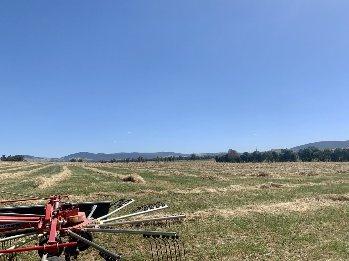 Hay raked and baled in one day, don’t think we’ve done it this late ever before #seasonthatkeepsongiving