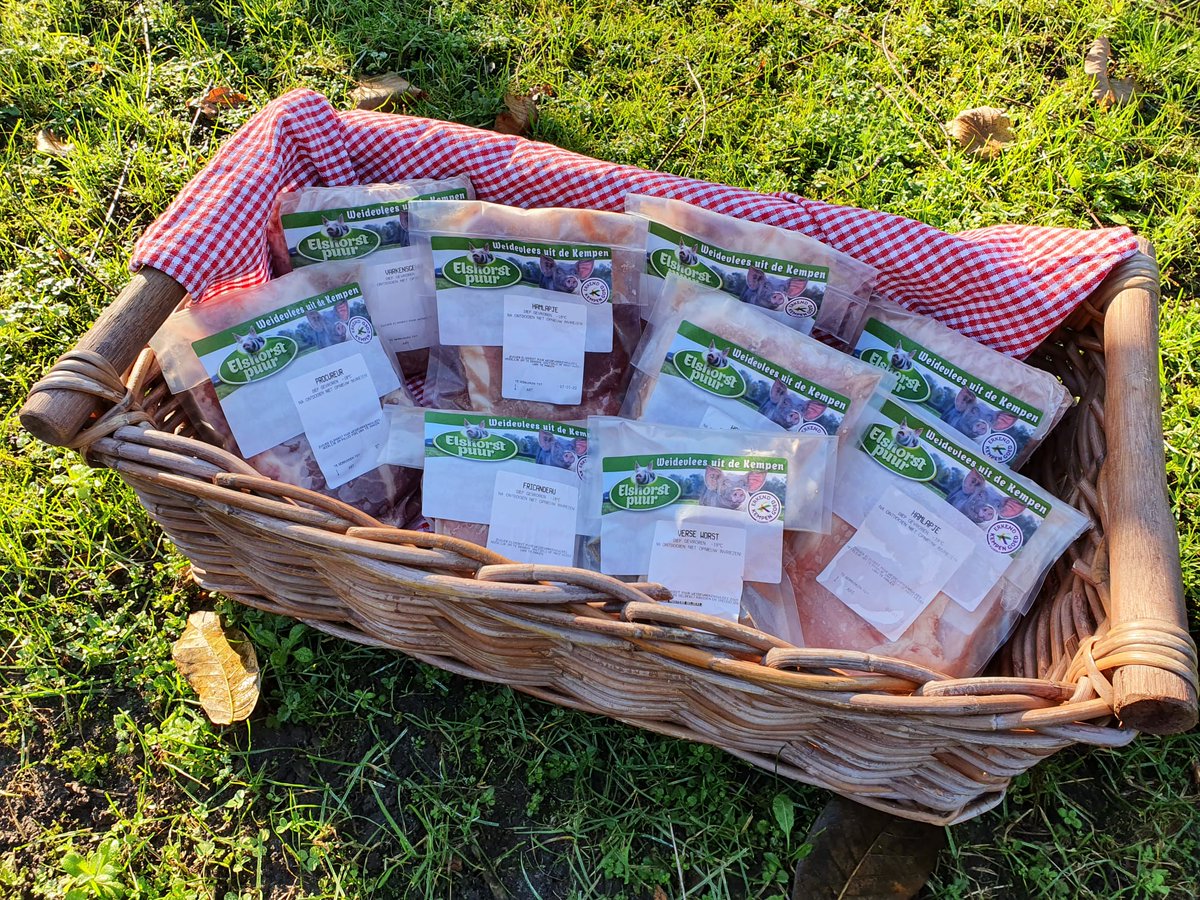 Den Elshorst tweet media