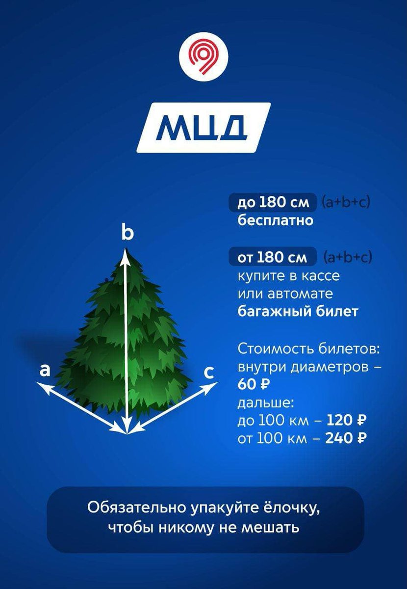 Взяли ёлочку домой, но есть вопросы по её перевозке в общественном транспорте? Отвечаем на них. Самое время доставать любимые игрушки и начать создавать праздничную атмосферу✨