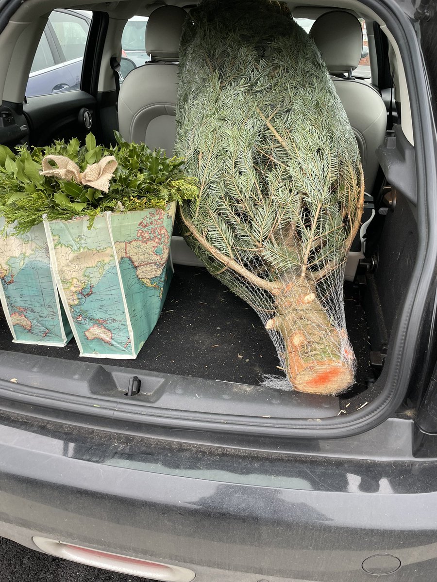 Just_Maths's tweet photo. Do I win a prize for being the last person to sort their Christmas tree out? #merryfuckingxmas #notagrinch https://t.co/7C5ISE2HTP