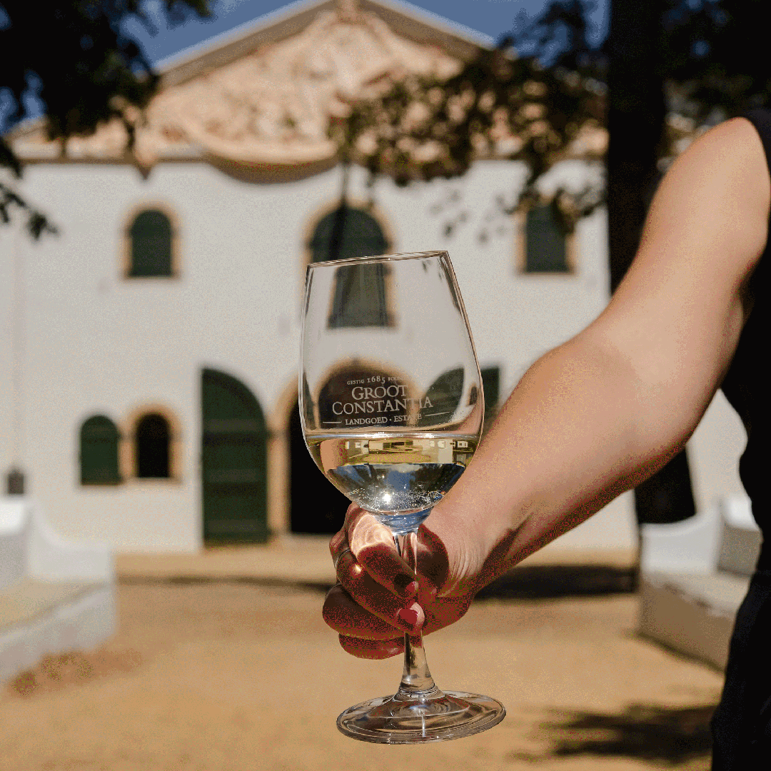 CTBig6's tweet photo. Wine, fine dining, and shopping are adult versions of juice, duck feeding, and running around outside. Luckily for adults and kids, @GrootConstantia offers it all.  Don’t believe us? Visit the link, on how to live your best #GrootSummer.  
https://t.co/hbkQSh9LJT

#CapeTownBig6 https://t.co/qHk8Y6GSsb