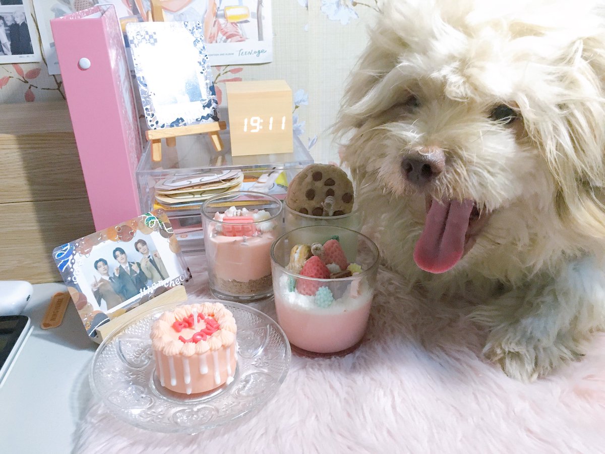 mini <a href="/havencandlesph/">HAVEN</a> haul ! ☻ super happy with this purchase, the candles are so niceee

thank you for the smooth transaction and for being so accommodating ! the candles are doggy approved hihi 🤍 #havenfeedbacks