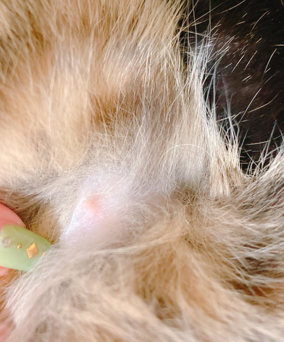 オッ♡♡♡♡♡ 